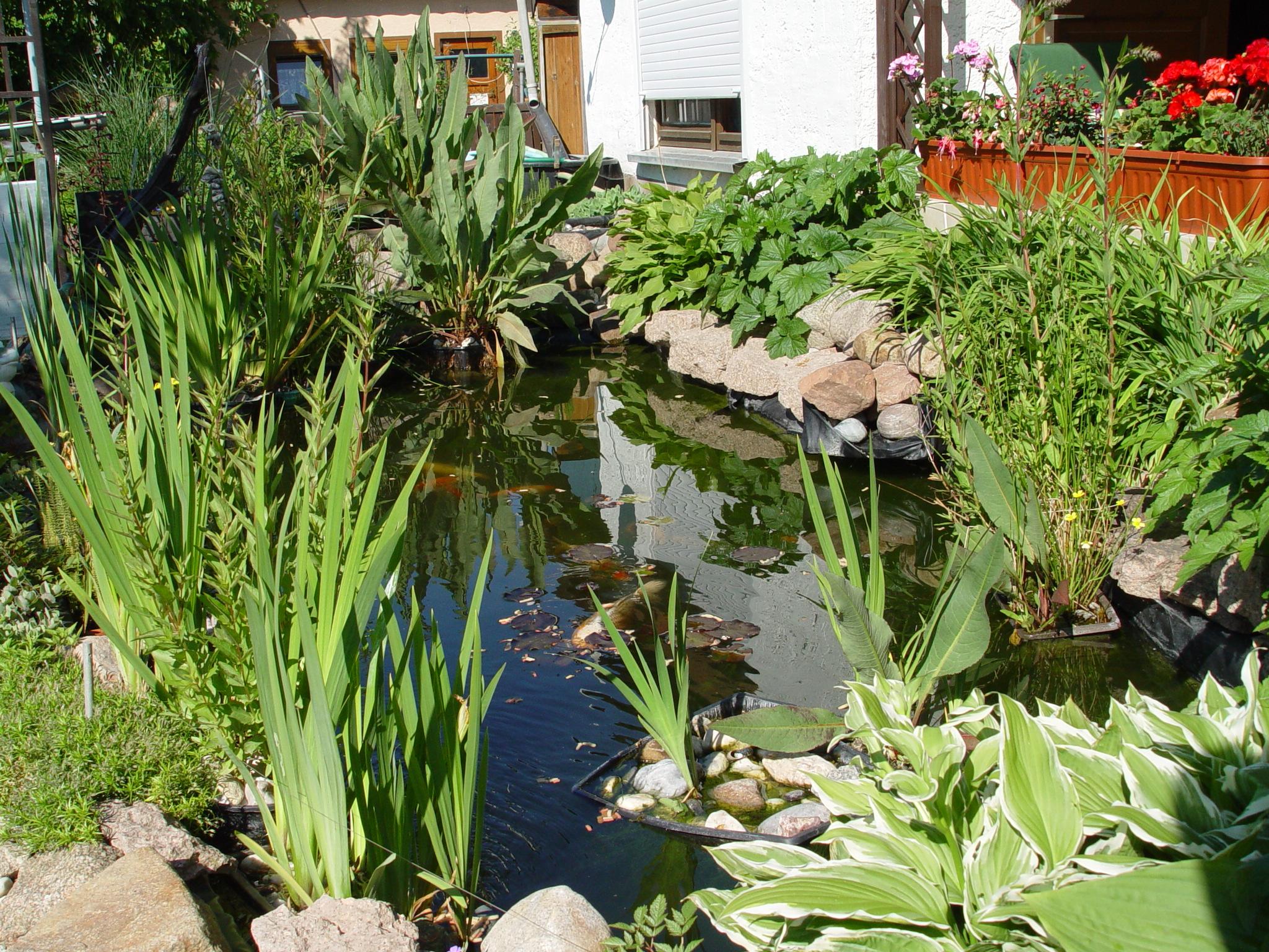 Teich 1.jpg Teich 1.jpg